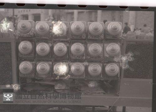 1950至2006年臺灣常民生活藏品圖，第1張