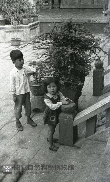 1950至2006年臺灣常民生活藏品圖，第1張