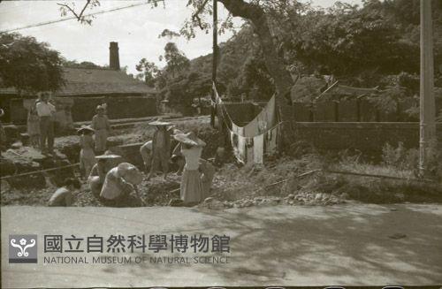 1950至2006年臺灣常民生活藏品圖，第1張