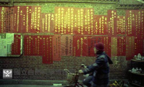 1950至2006年臺灣常民生活藏品圖，第1張