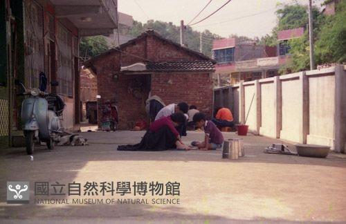 1950至2006年臺灣常民生活藏品圖，第1張