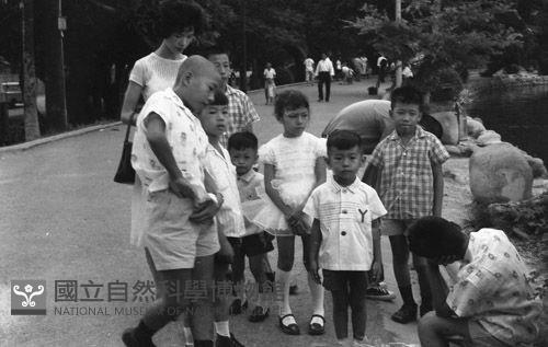1950至2006年臺灣常民生活藏品圖，第1張