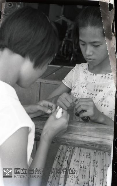 1950至2006年臺灣常民生活藏品圖，第1張