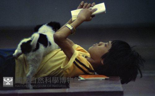 1950至2006年臺灣常民生活藏品圖，第1張