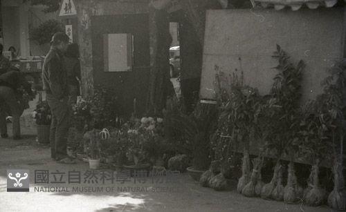 1950至2006年臺灣常民生活藏品圖，第1張