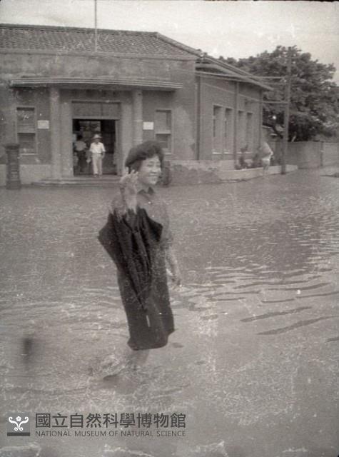 1950至2006年臺灣常民生活藏品圖，第1張