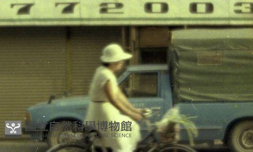 1950至2006年臺灣常民生活藏品圖，第1張