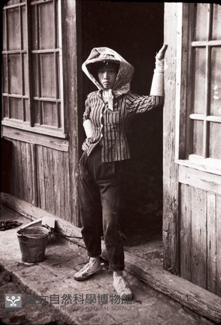 1950至2006年臺灣常民生活藏品圖，第1張