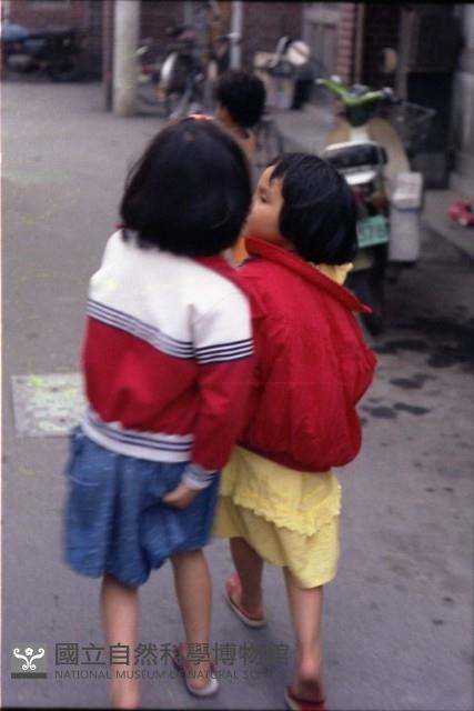 1950至2006年臺灣常民生活藏品圖，第1張
