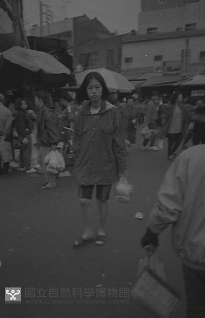 1950至2006年臺灣常民生活藏品圖，第1張