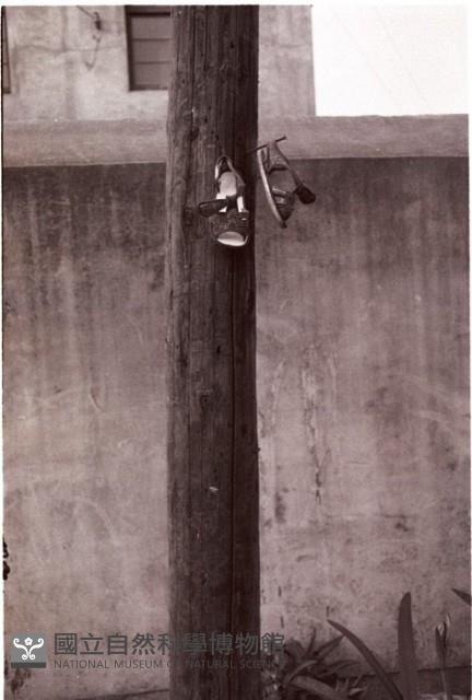 1950至2006年臺灣常民生活藏品圖，第1張