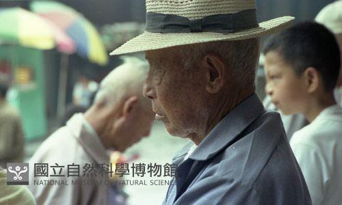 1950至2006年臺灣常民生活藏品圖，第1張