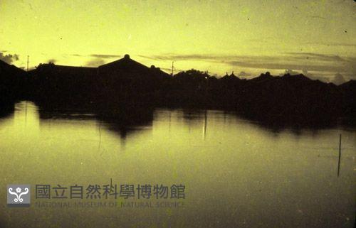 1950至2006年臺灣常民生活藏品圖，第1張