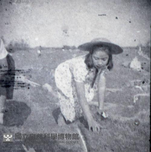 1950至2006年臺灣常民生活藏品圖，第1張
