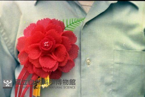 1950至2006年臺灣常民生活藏品圖，第1張