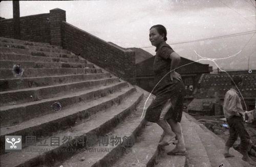 1950至2006年臺灣常民生活藏品圖，第1張