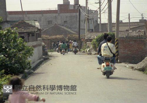 1950至2006年臺灣常民生活藏品圖，第1張