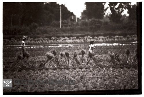 1950至2006年臺灣常民生活藏品圖，第1張