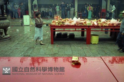 1950至2006年臺灣常民生活藏品圖，第1張