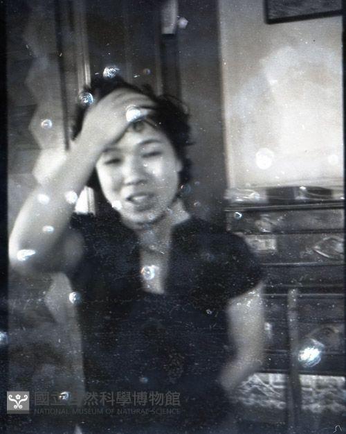 1950至2006年台灣常民生活藏品圖，第1張