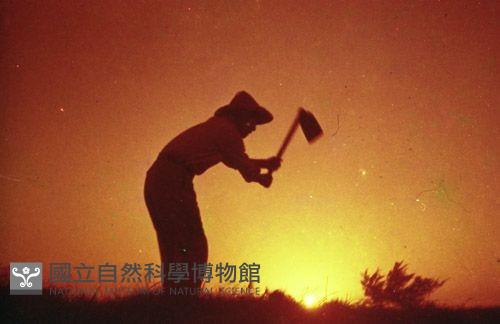 1950至2006年臺灣常民生活藏品圖，第1張