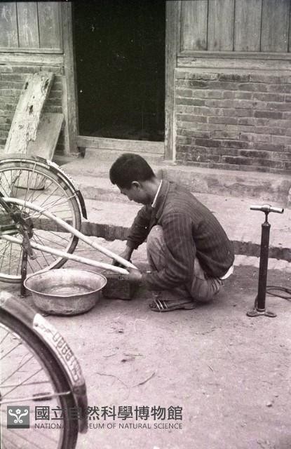 1950至2006年臺灣常民生活藏品圖，第1張