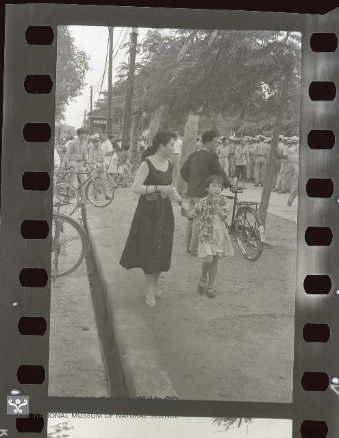 1950至2006年臺灣常民生活藏品圖，第1張