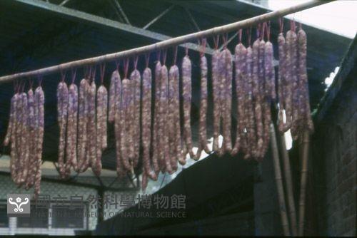 1950至2006年臺灣常民生活藏品圖，第1張