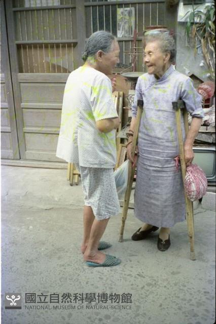 1950至2006年臺灣常民生活藏品圖，第1張