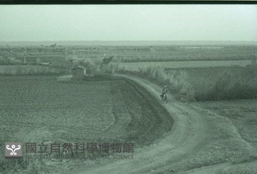 1950至2006年台灣常民生活藏品圖，第1張