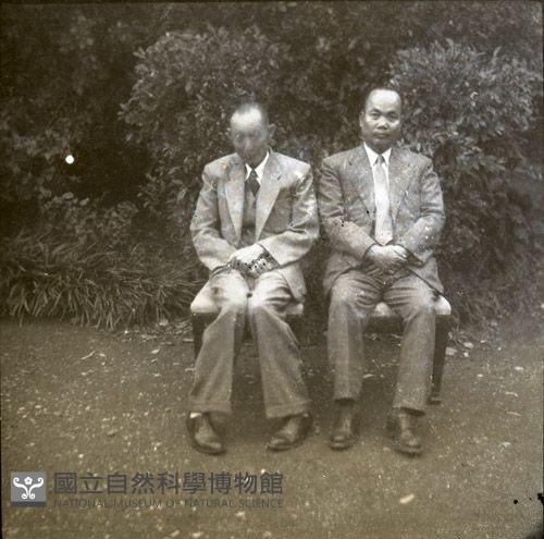 1950至2006年臺灣常民生活藏品圖，第1張