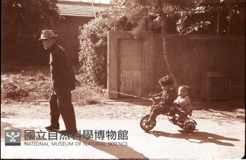 1950至2006年臺灣常民生活藏品圖，第1張