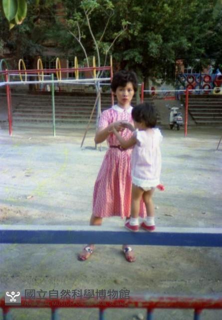 1950至2006年臺灣常民生活藏品圖，第1張