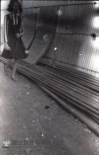 1950至2006年臺灣常民生活藏品圖，第1張