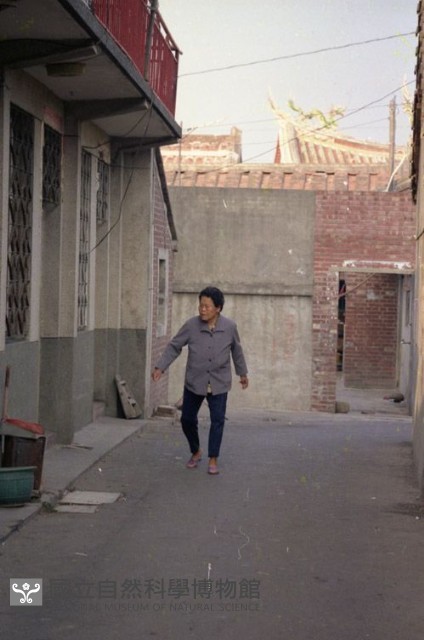1950至2006年臺灣常民生活藏品圖，第1張