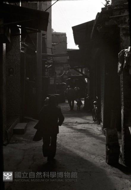 1950至2006年臺灣常民生活藏品圖，第1張