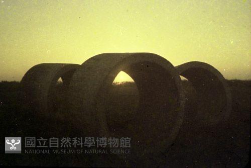 1950至2006年臺灣常民生活藏品圖，第1張