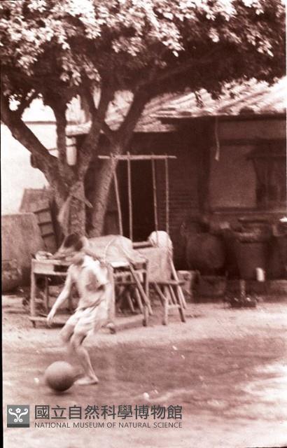 1950至2006年臺灣常民生活藏品圖，第1張