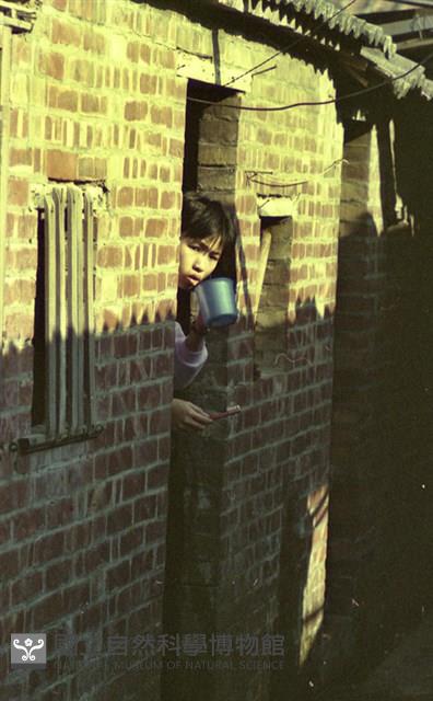 1950至2006年臺灣常民生活藏品圖，第1張