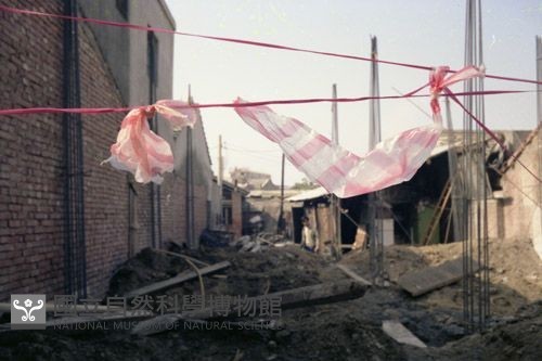 1950至2006年臺灣常民生活藏品圖，第1張