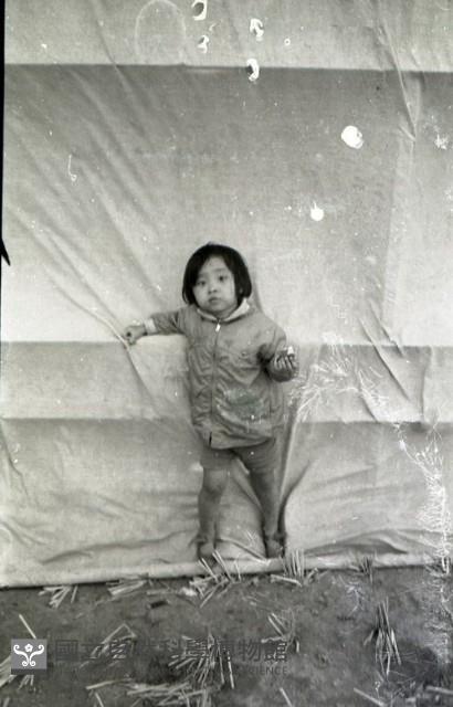 1950至2006年臺灣常民生活藏品圖，第1張