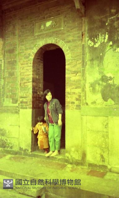 1950至2006年臺灣常民生活藏品圖，第1張