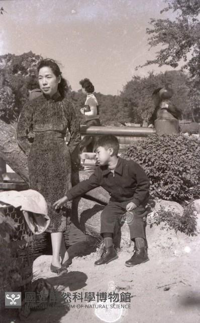 1950至2006年臺灣常民生活藏品圖，第1張