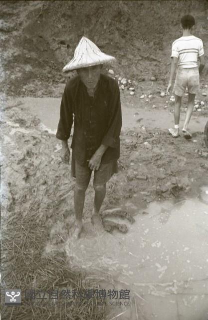 1950至2006年臺灣常民生活藏品圖，第1張