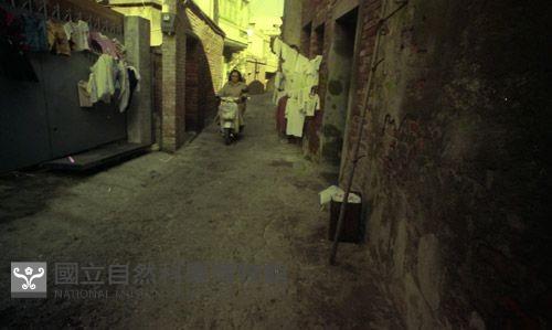 1950至2006年臺灣常民生活藏品圖，第1張