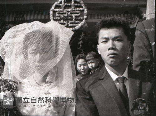 1950至2006年臺灣常民生活藏品圖，第1張