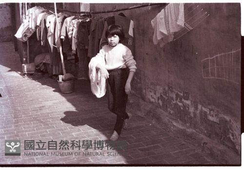 1950至2006年臺灣常民生活藏品圖，第1張