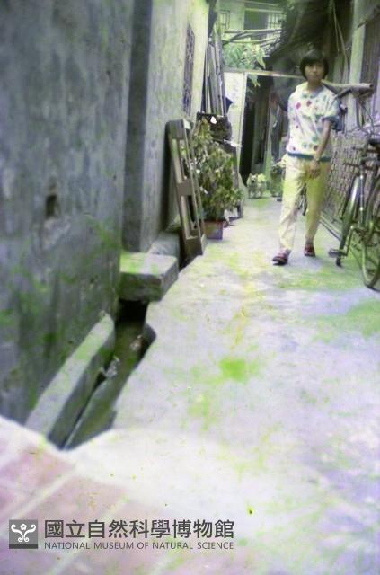 1950至2006年臺灣常民生活藏品圖，第1張