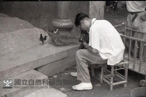 1950至2006年臺灣常民生活藏品圖，第1張