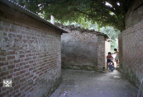 1950至2006年臺灣常民生活藏品圖，第1張